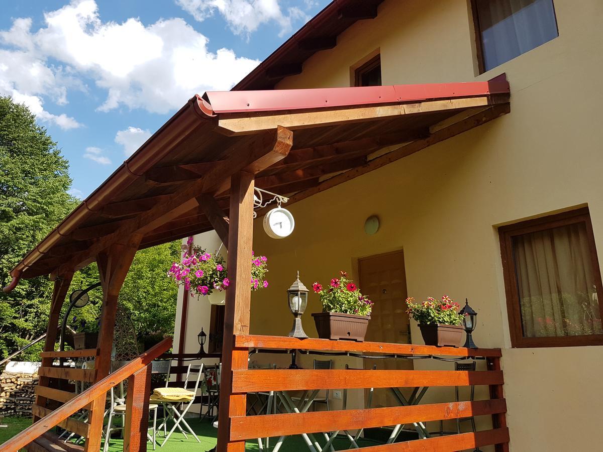 Vila Carmen Bed & Breakfast Cazaci Exterior photo