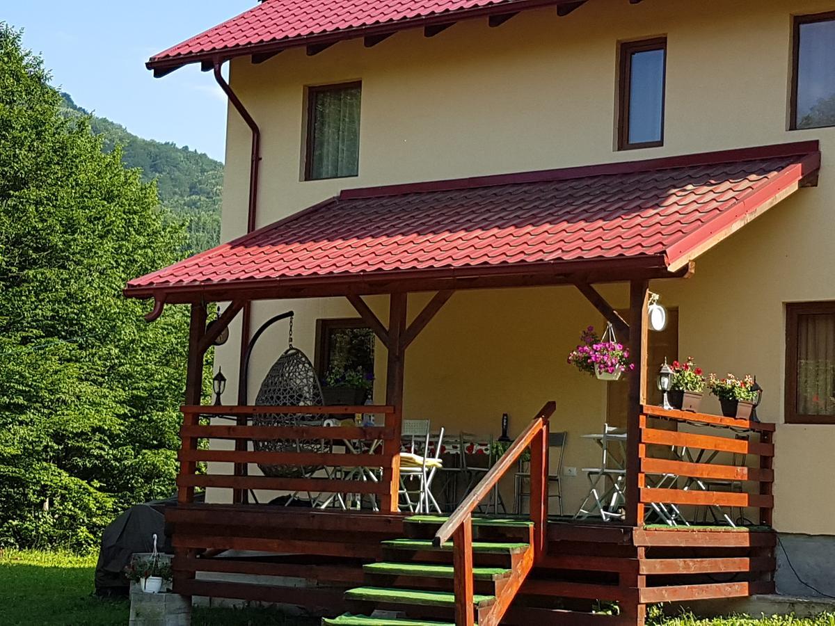 Vila Carmen Bed & Breakfast Cazaci Exterior photo