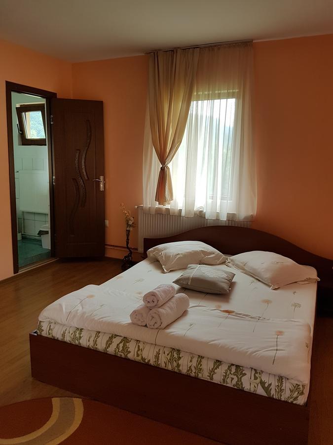 Vila Carmen Bed & Breakfast Cazaci Exterior photo